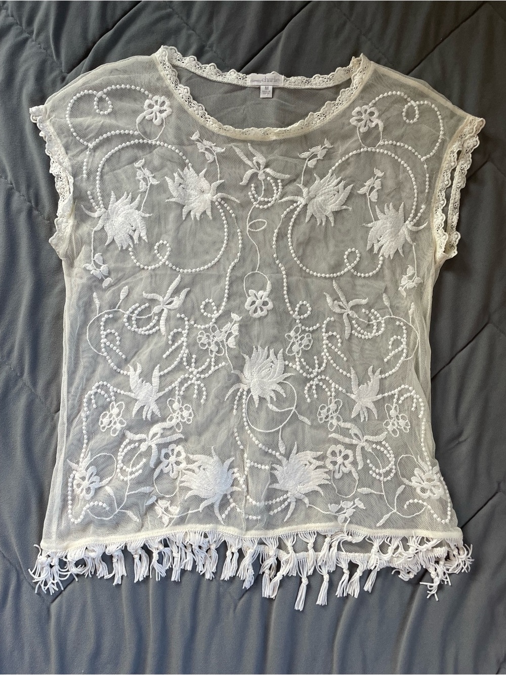 Vintage Charming Charlie Sheer Top